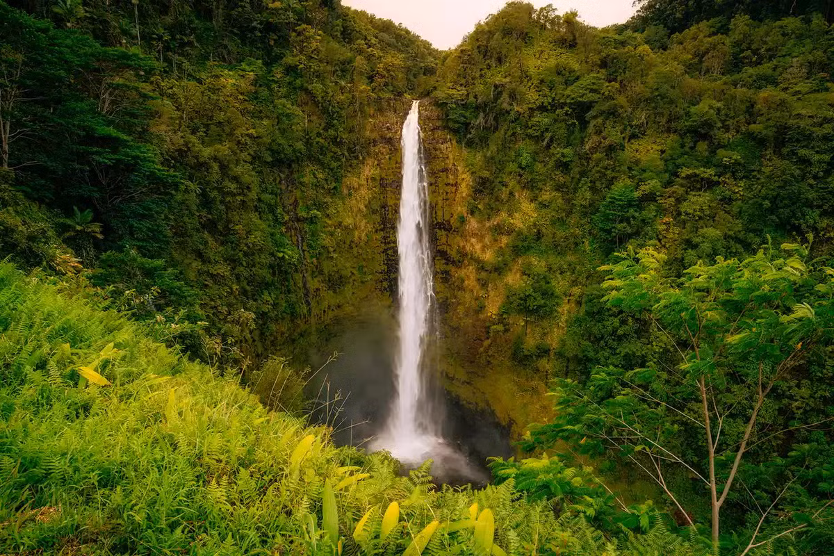 Thác Akaka, Hawaii, Mỹ. Cảnh quan xung quanh thác chính là điều khiến nó trở nên khác biệt so với rất nhiều thác khác trên thế giới. Được bao quanh bởi khu rừng mưa hoang sơ, dòng nước trong trẻo nhỏ xuống hoàn hảo vào hẻm núi hang động bên dưới. Ảnh: MATT ANDERSON / GETTY