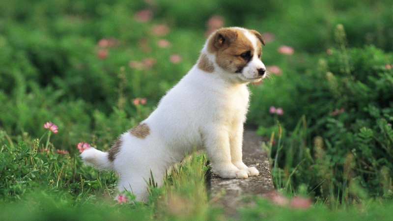  Còn người có bạn tình có thể cảm nhận được sự chăm sóc tinh tế của người yêu trong cuộc sống hàng ngày và sự hiểu biết ngầm giữa họ sẽ ngày càng sâu sắc hơn.