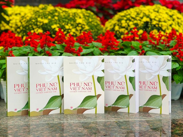 Thu cua nu tuong Nguyen Thi Dinh va hang tram buc thu tinh thoi chien-Hinh-3