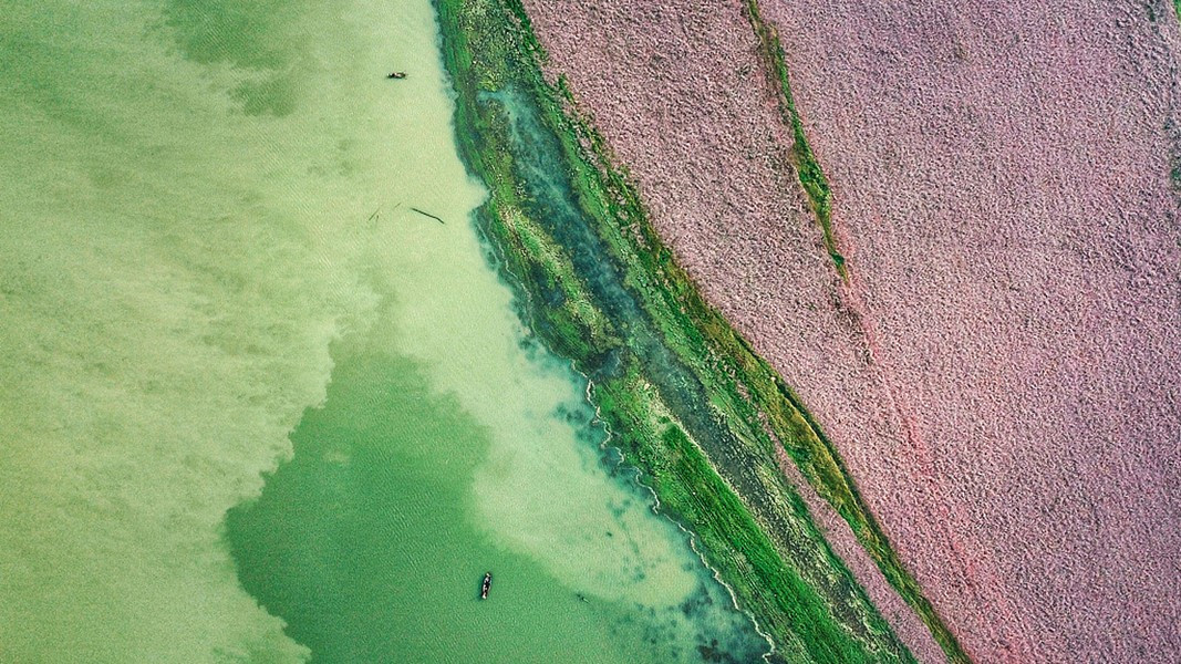 Một tài liệu ghi lại rằng 13 tàu cùng gặp nạn tại đây vào ngày 3/8/1985. Đây là sự kiện hiếm khi xảy ra trong lịch sử các vụ đắm tàu trên thế giới. Các thợ lặn chưa bao giờ thấy những chiếc thuyền dù tìm kiếm rất nhiều lần.