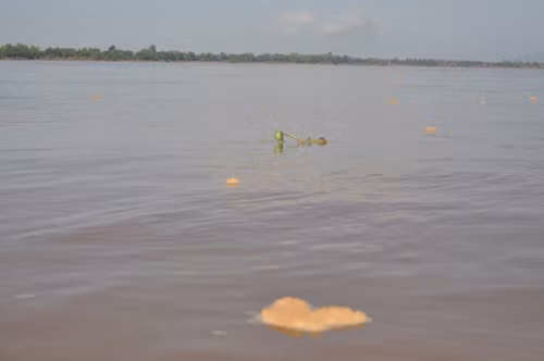 Hiện trường vụ tai nạn. Vị trí phi cơ mang số hiệu QV301 gặp nạn ở cách sân bay Pakse, tỉnh Champasak, khoảng 8 km. Ảnh: Thanh Niên.