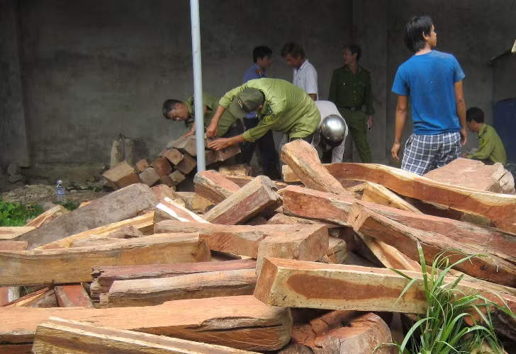 Toàn bộ số gỗ lậu được phát hiện trên thuộc loại quý hiếm nhóm IIA.