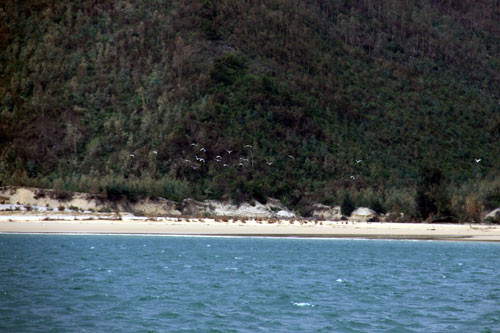 Bờ cát dài hoang sơ ở Vũng Chùa