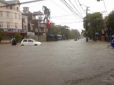 Nhiều ô tô du lịch (4 chỗ) bị chết máy giữa đường. Ảnh: Nông nghiệp VN.