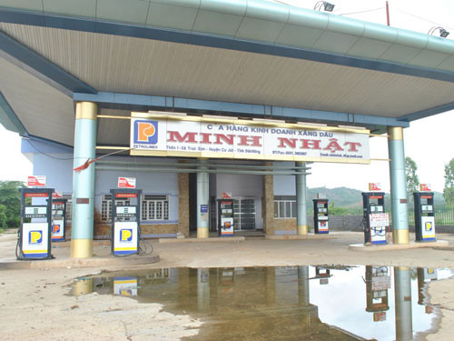 Từ năm 2008 đến tháng 7/2010, Cao Bạch Mai, Giám đốc Công ty Nhật Tân đã sử dụng 71 hợp đồng xuất khẩu giả với các Công ty nước ngoài để thực hiện 70 hợp đồng vay tín dụng với số tiền là 1.005 tỷ đồng, chiếm đoạt hơn 198 tỷ đồng; Trần Thị Xuân, Giám đốc Công ty Minh Nhật sử dụng 65 hợp đồng xuất khẩu giả để ký 64 hợp đồng tín dụng vay tổng số tiền là 938,5 tỷ đồng, chiếm đoạt hơn 231 tỷ đồng của Chi nhánh Ngân hàng Phát triển khu vực Đắk Lắk - Đắk Nông.