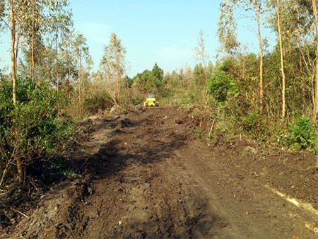 Đường cơ động vào vị trí an táng có nước ngầm lầy lội, sẽ được thi công thành đường cấp phối nhựa, chịu được sức nặng của xe kéo pháo.