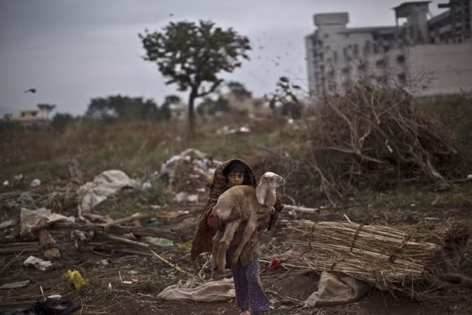 Một bé gái bế con dê trên tay trong khi giúp gia đình thu gom số tài sản ít ỏi, không mấy giá trị. Cuộc sống của các gia đình sống tại khu vực này vốn đều khó khăn, nghèo đói nay lại càng bấp bênh hơn khi mái nhà che nắng mưa không còn.