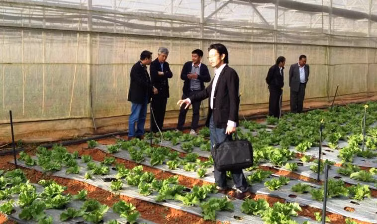 Người Nhật tại "Làng thần kỳ"