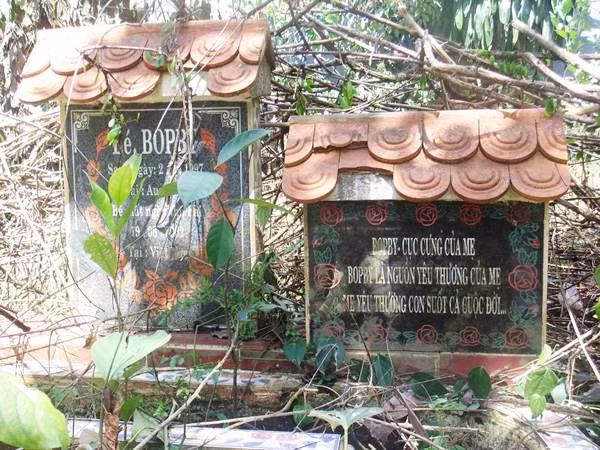 Bi an ve nu dai gia vung chuc ty xay biet thu cho cho-Hinh-3