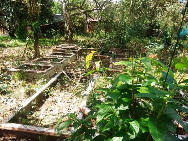 Bi an ve nu dai gia vung chuc ty xay biet thu cho cho-Hinh-4