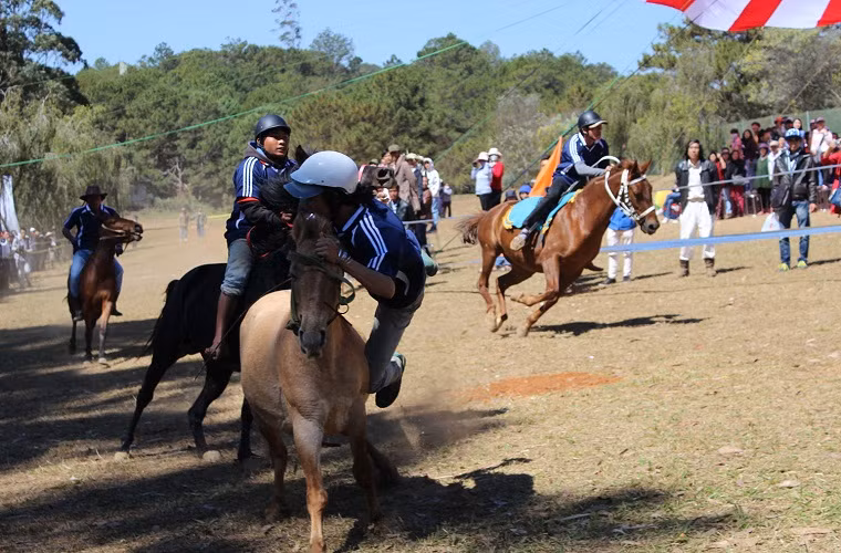 Tronng cuộc đua rất căng thẳng nên có một vài kỵ sĩ ngã ngựa, bị loại khỏi cuộc đua.