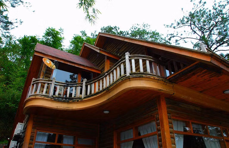 Toàn bộ căn nhà được làm bằng gỗ trông sang trọng và ấm cúng giữa rừng thông thơ mộng. 