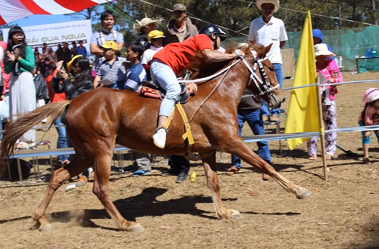 Ngoài sức lực của tuấn mã, sự điều khiển khéo léo của kỵ sĩ là yếu tố then chốt để thành công. 