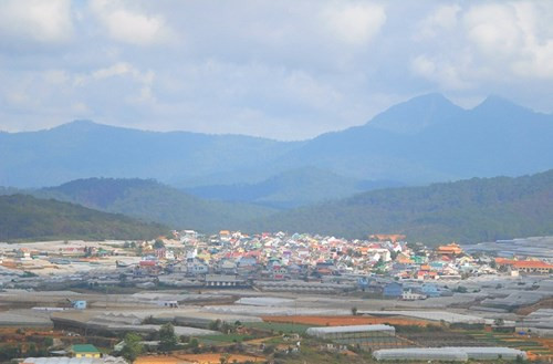 Một trong những điều thú vị ở Đà Lạt là thành phố được bao quanh bởi những thửa ruộng bậc thang trải dài tít tắp.