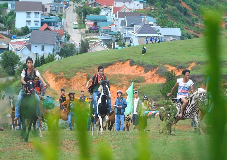 Sau hiệu lệnh các kỵ sĩ thúc ngựa băng băng phi trên thảo nguyên Langbiang.