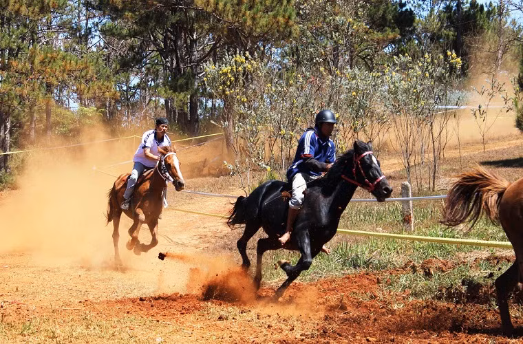 Càng về cuối, cuộc đua càng trở nên căng thẳng, quyết liệt.