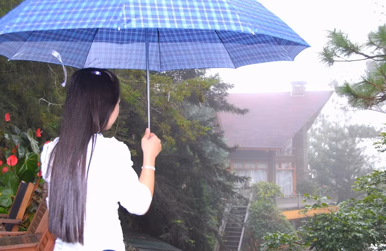 Một không gian kỳ thú giữa mùa hè...