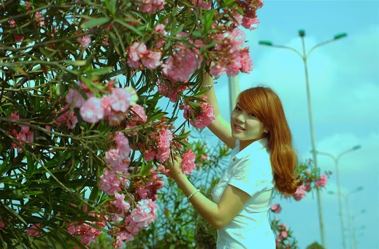 Từ sau Tết nguyên đán đến nay, trúc đào hoa đơm bông rực rõ đẹp đến mê hồn.