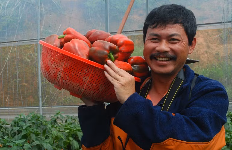  Theo các tài liệu khoa học, ớt chuông là loại quả giúp giảm cân cực kỳ hiệu quả nhờ chứa rất ít năng lượng. Ăn loại quả này giúp tăng cường trao đổi chất nhờ hạ thấp nồng độ triglyceride – một dạng mỡ trong máu mà nếu tăng bất thường sẽ gây ra hội chứng trao đổi chất.