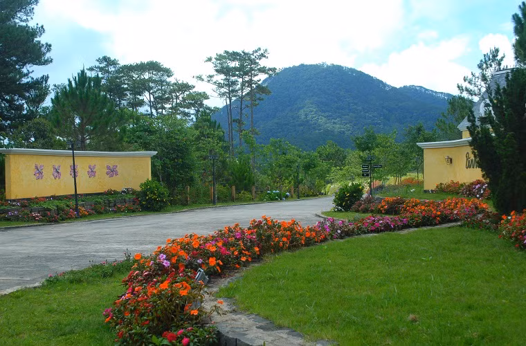 Bình An resort lại không xây cổng như nhiều nơi khác mà đón chào du khách bằng những vạt hoa, tạo nên một không gian bình an, thơ mộng.