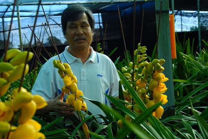 Ông Quỳnh buồn bã vì hoa nở trước Tết