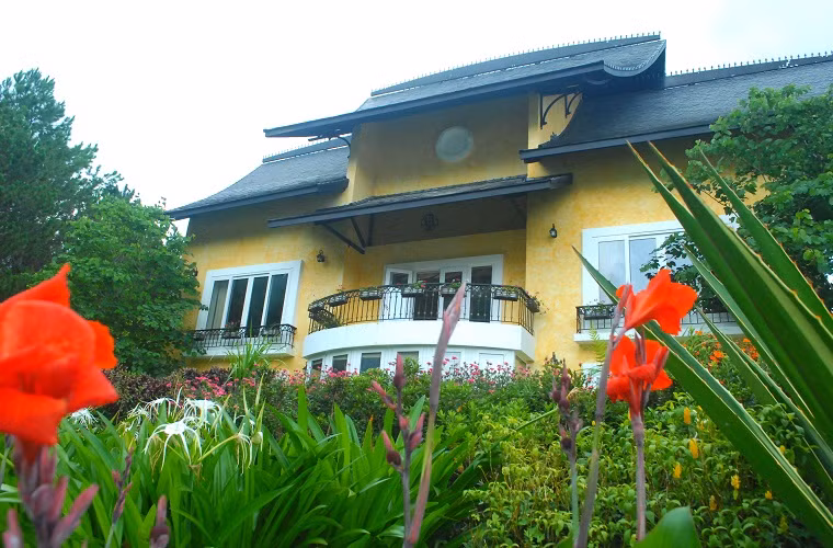  Biệt thự kiểu mới này chỉ hai tầng (1 trệt và 1 lầu), chìm trong thông xanh và các loài hoa hoang dại.