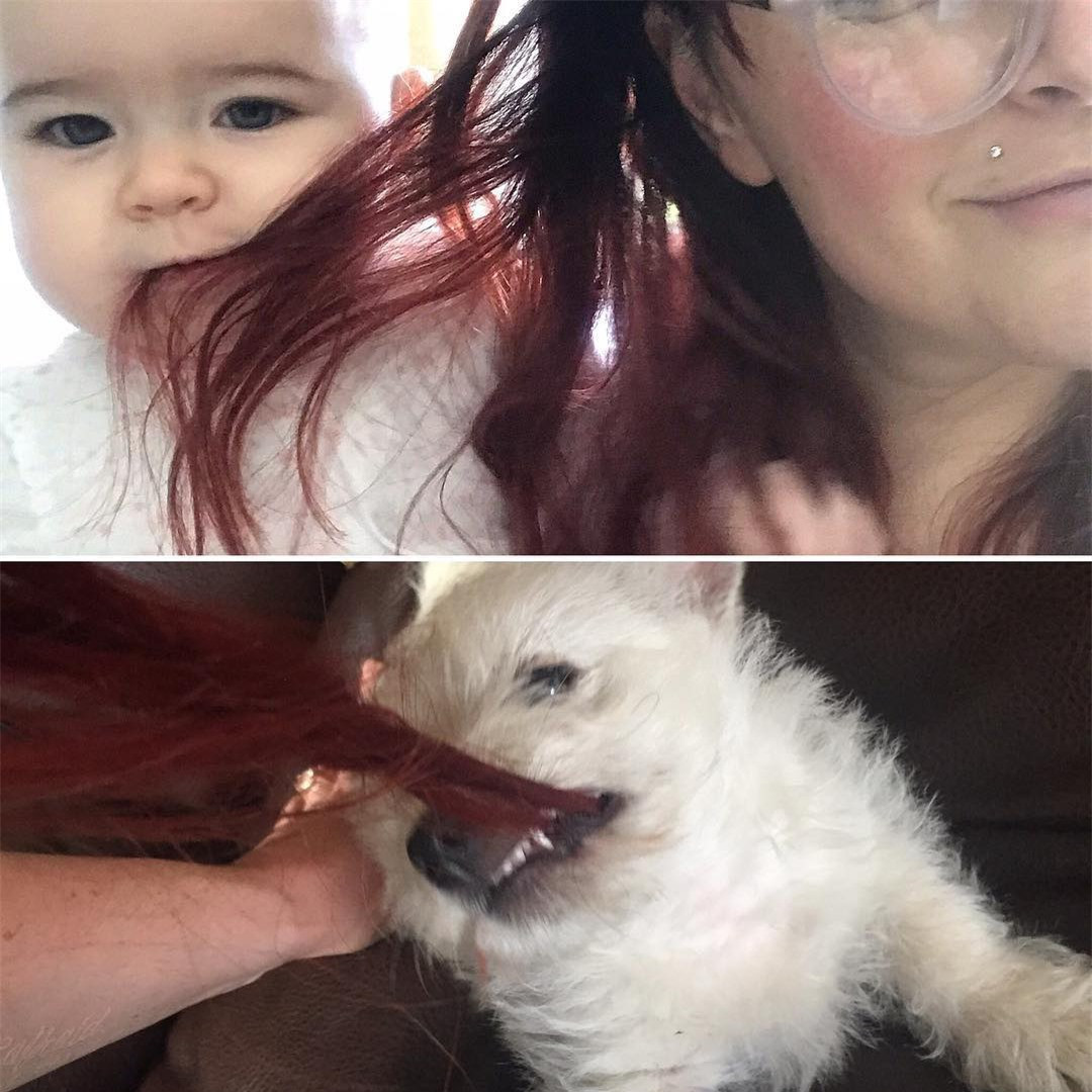 14 bức ảnh cho thấy 'nỗi khổ" chỉ chị em tóc dài mới hiểu - Hình 7 14 buc anh cho thay 'noi kho