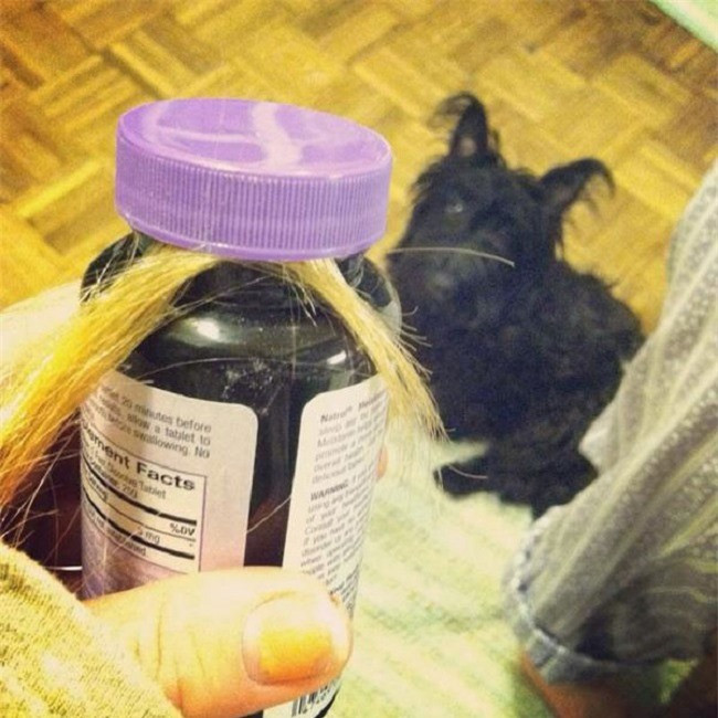 14 bức ảnh cho thấy 'nỗi khổ" chỉ chị em tóc dài mới hiểu - Hình 2 14 buc anh cho thay 'noi kho