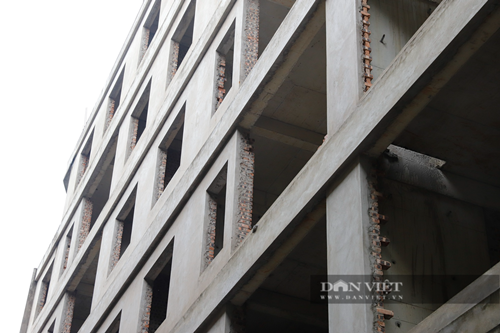 Can canh khu nha o can bo bo hoang bi an o noi thanh Ha Noi-Hinh-4