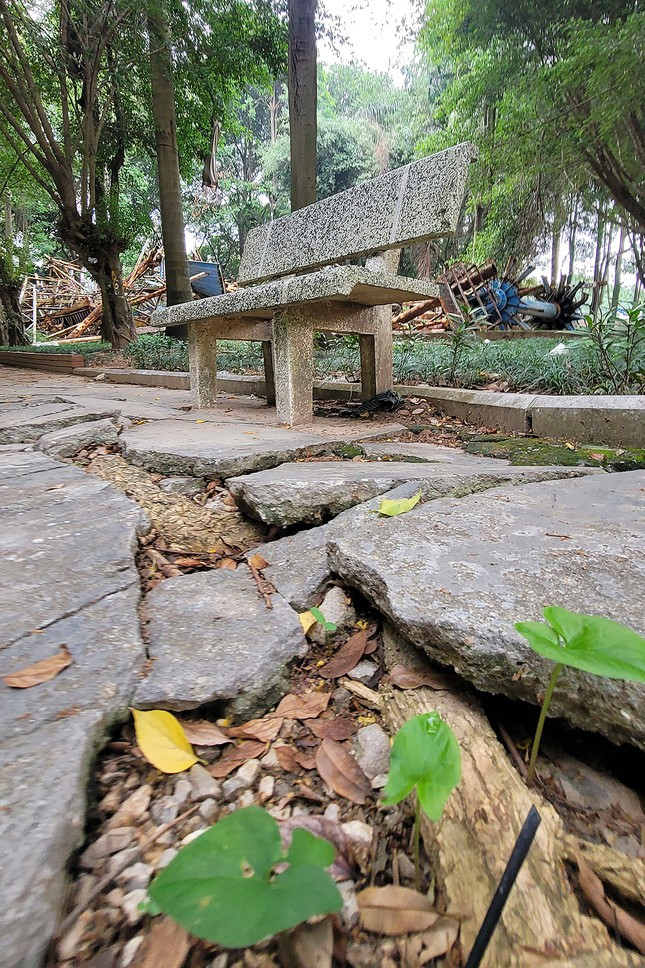 Nhiều đoạn lòng đường, vỉa hè trong công viên Tuổi Trẻ xuống cấp trầm trọng.