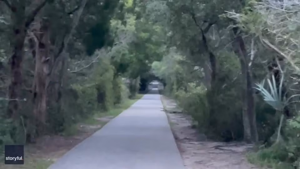 Đang đi dạo, bất ngờ chứng kiến cá sấu khổng lồ ngáp dài Dang di dao, bat ngo chung kien ca sau khong lo ngap dai