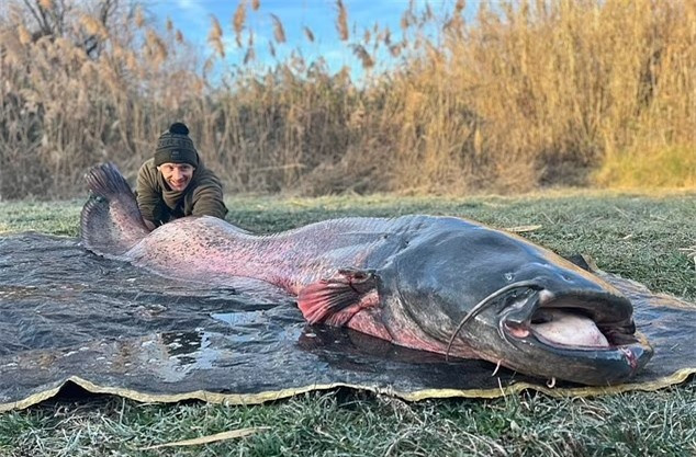 Đi câu cá chép, bất ngờ bắt được “thủy quái” nặng hơn 100kg Di cau ca chep, bat ngo bat duoc “thuy quai” nang hon 100kg