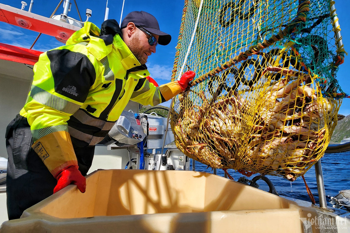 Cua hoang de giam gan 1 trieu dong/kg van e khach-Hinh-2