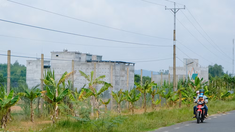 Nuoi chim yen mang lai thu nhap tien ti o Lam Dong