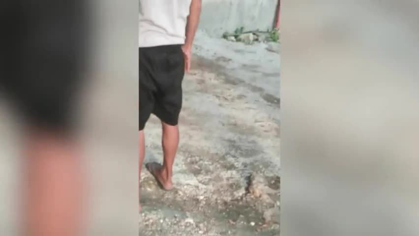 Kinh hai canh vay bat tran khong lo trong truong hoc