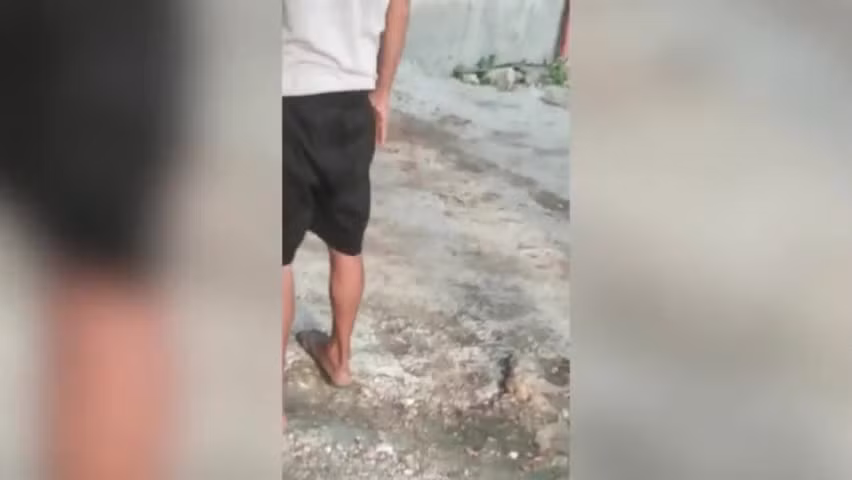 Kinh hai canh vay bat tran khong lo trong truong hoc