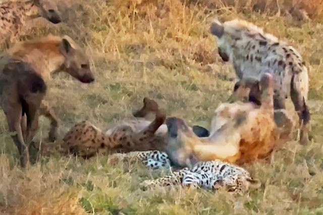 Hanh dong ky la cua bay linh cau ben xac bao hoa mai