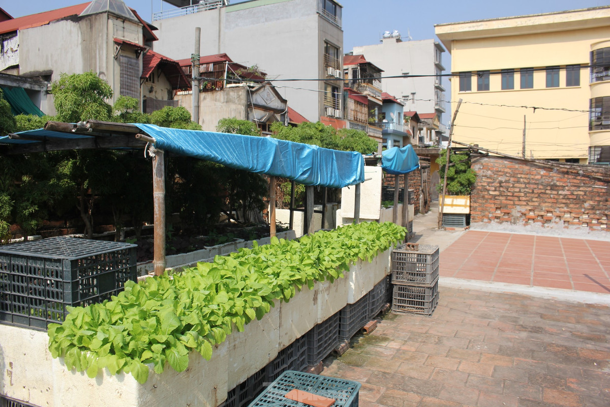 Ben trong khu tap the 'cho sap' giua Thu do-Hinh-22