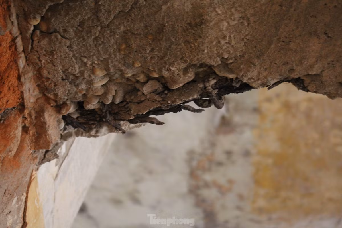 Ben trong khu tap the 'cho sap' giua Thu do-Hinh-10