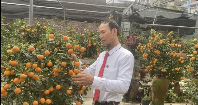 Dan buon dao quat vua an 'qua dang' vu Tet-Hinh-2