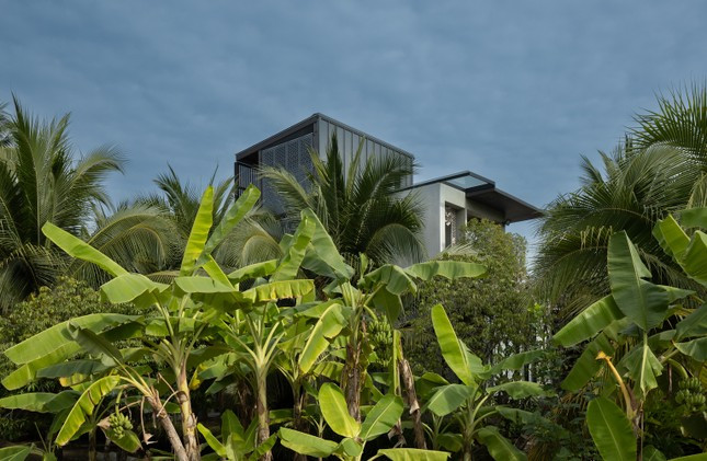 Ngoi nha con gai tang me mang ten “nha dom dom“