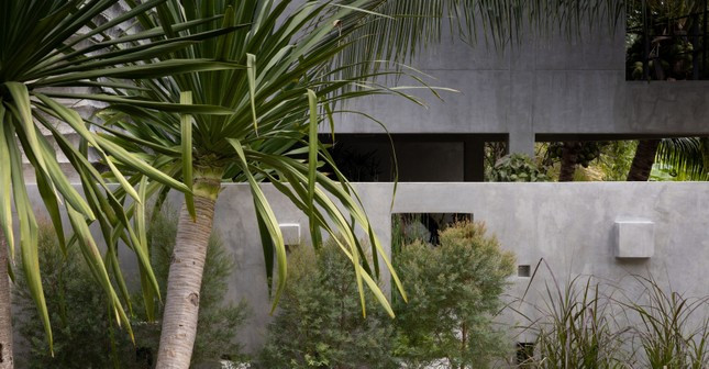 Ngoi nha con gai tang me mang ten “nha dom dom“-Hinh-4