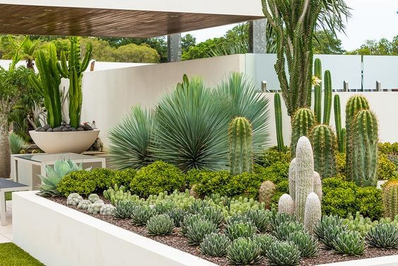 Những phong cách thiết kế sân vườn được ưa chuộng 2024 ảnh 10