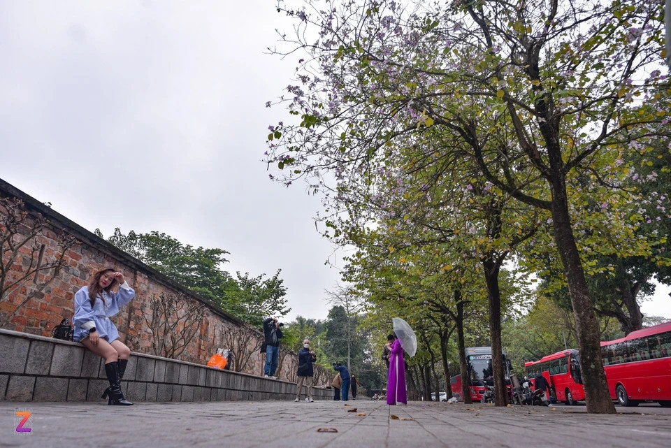 Cuối tháng 2, nhiều tuyến đường trồng hoa ban bắt đầu nở rộ và thu hút sự chú ý của nhiều người. Dưới thời tiết dao động 12-16 độ của Hà Nội, nhiều bạn trẻ "đội rét" tìm tới những con đường hoa này để chụp ảnh, check-in.