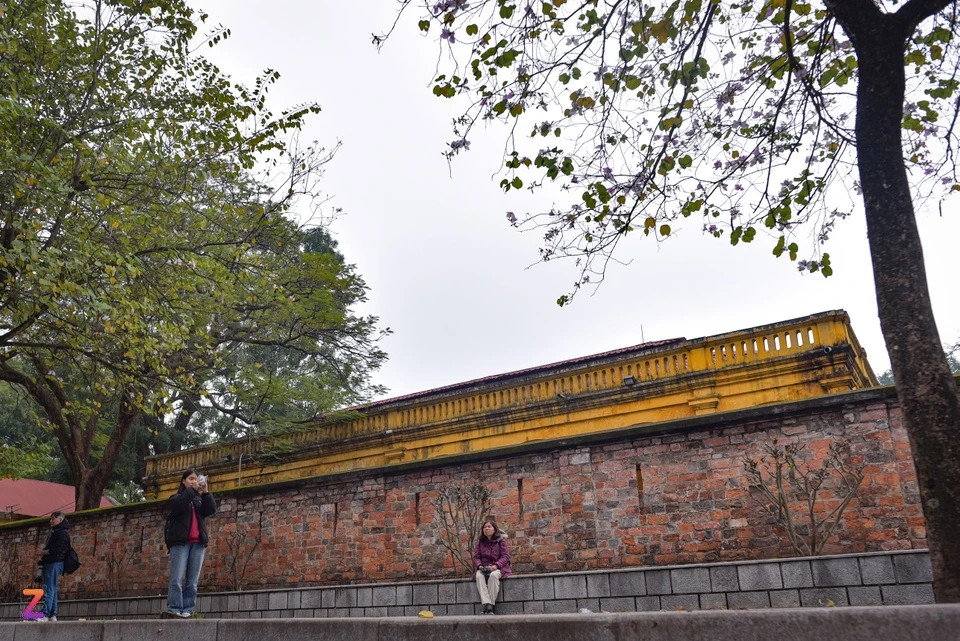 Một trong những địa điểm phổ biến nhất là dọc con đường Hoàng Diệu (quận Ba Đình), nơi có hàng loạt cây hoa ban nở rộ bên cạnh kiến trúc cổ kính của Hoàng thành Thăng Long.