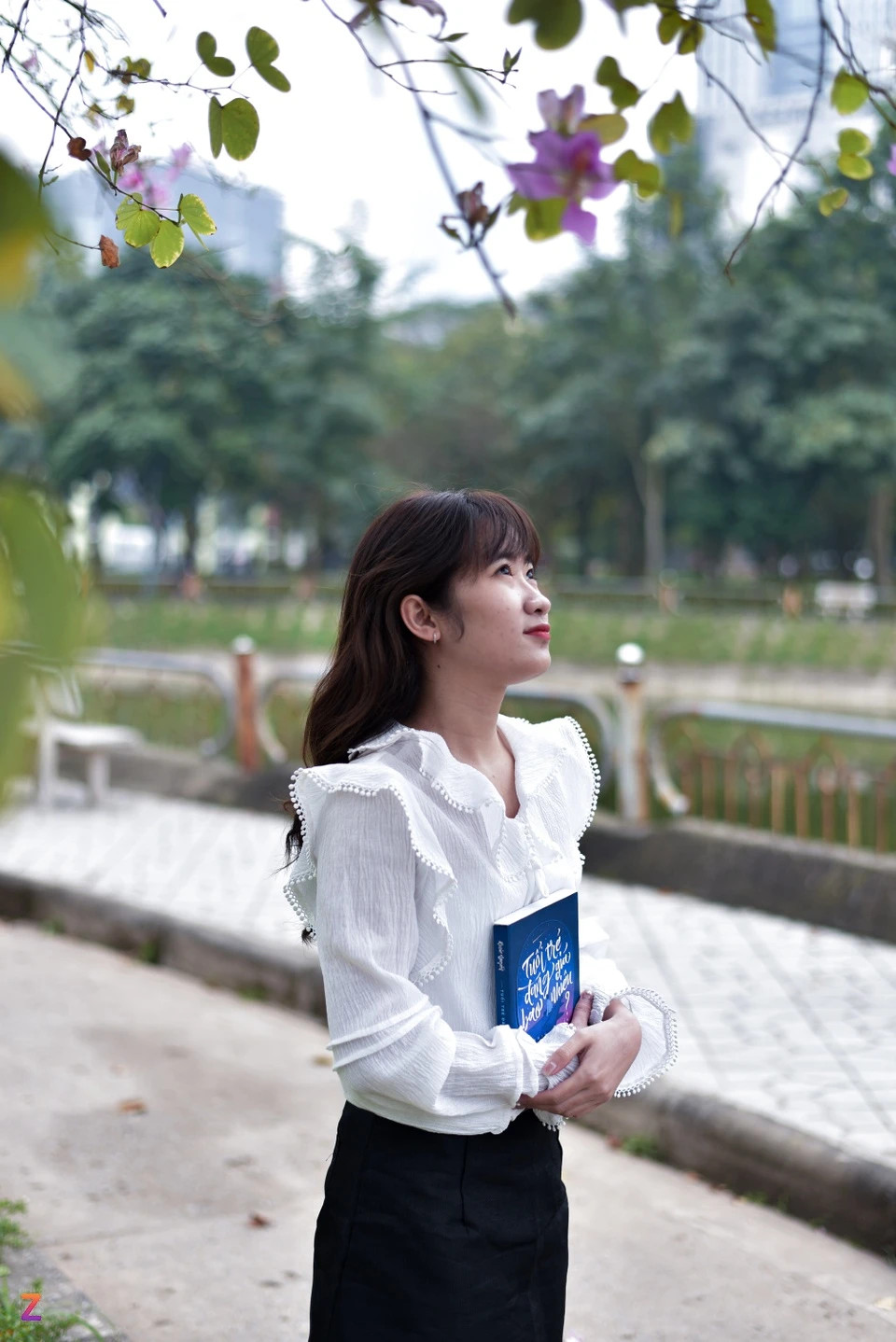 Loài hoa này được trồng nhiều ở các tuyến đường, khu đô thị, công viên, trung tâm thương mại… ở Hà Nội. Theo quan sát chung, vào năm nay, hoa nở không thực sự đẹp như mọi năm cũng khiến nhiều người nuối tiếc và thất vọng.