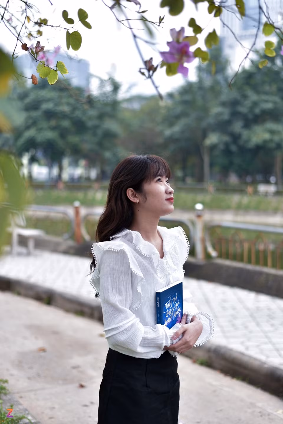 Loài hoa này được trồng nhiều ở các tuyến đường, khu đô thị, công viên, trung tâm thương mại… ở Hà Nội. Theo quan sát chung, vào năm nay, hoa nở không thực sự đẹp như mọi năm cũng khiến nhiều người nuối tiếc và thất vọng.