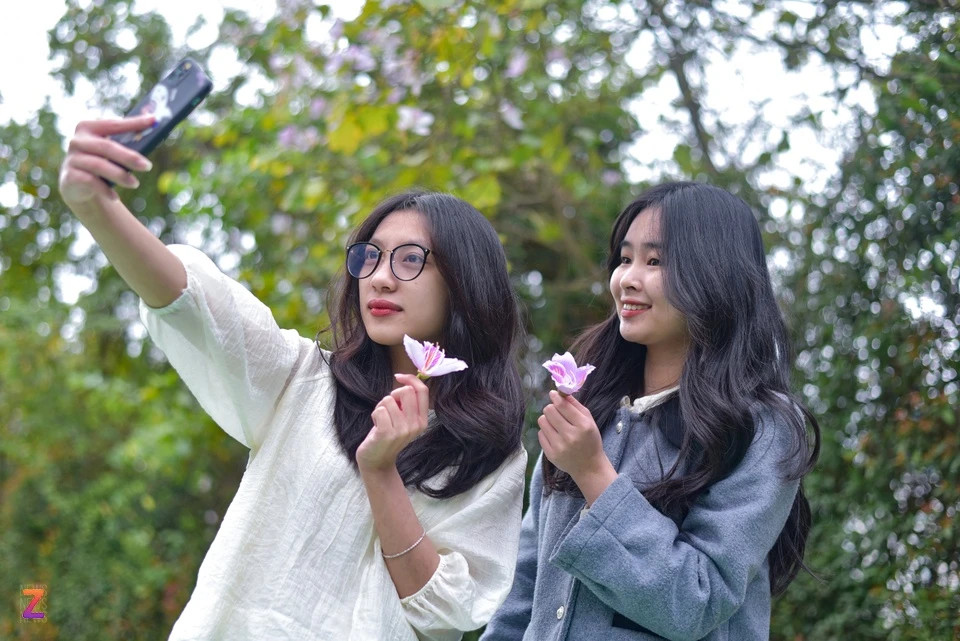 Vân Khánh và Khánh Linh (quận Tây Hồ) biết được thông tin hoa ban đang vào mùa nở rộ thông qua mạng xã hội. Nhưng khi đến nơi, cả hai khá thất vọng khi thấy khung cảnh ngoài đời không như trên ảnh. “Mới vào đầu mùa, nhưng bọn mình thấy hoa sắp bị tàn hết. Chùm, bông hoa cũng nở không được dày, to như bình thường”, Khánh cho hay.