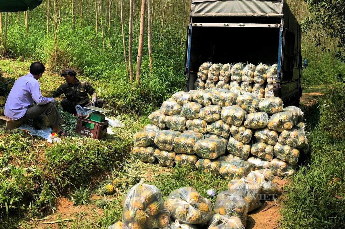 Trong dua “nu hoang”, dan noi nay vua duoc mua lai trung giaa-Hinh-4