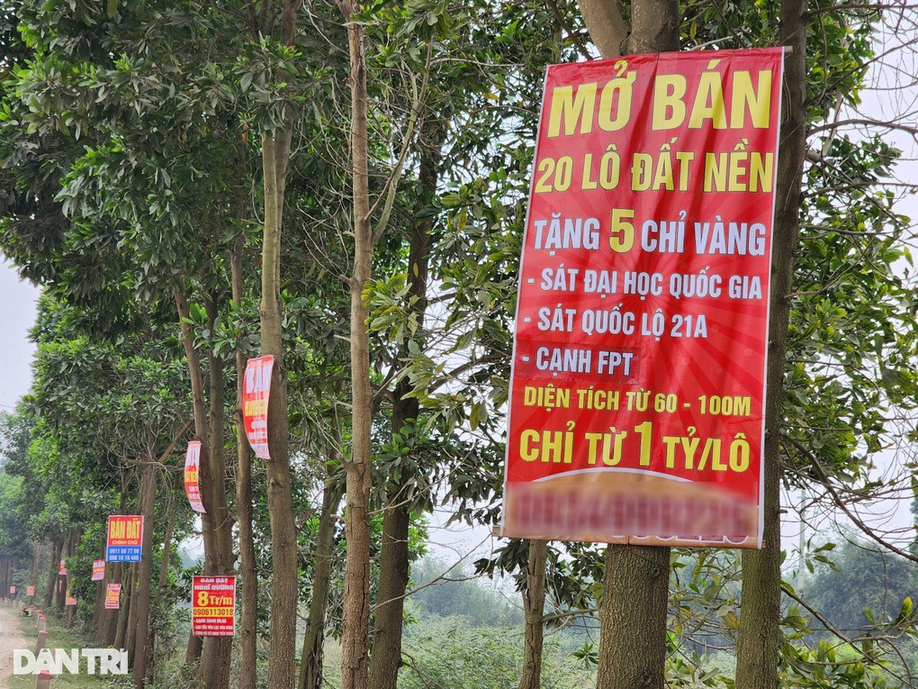 Gia dat nen tang nhung van re hon 30% so voi dinh sot-Hinh-2